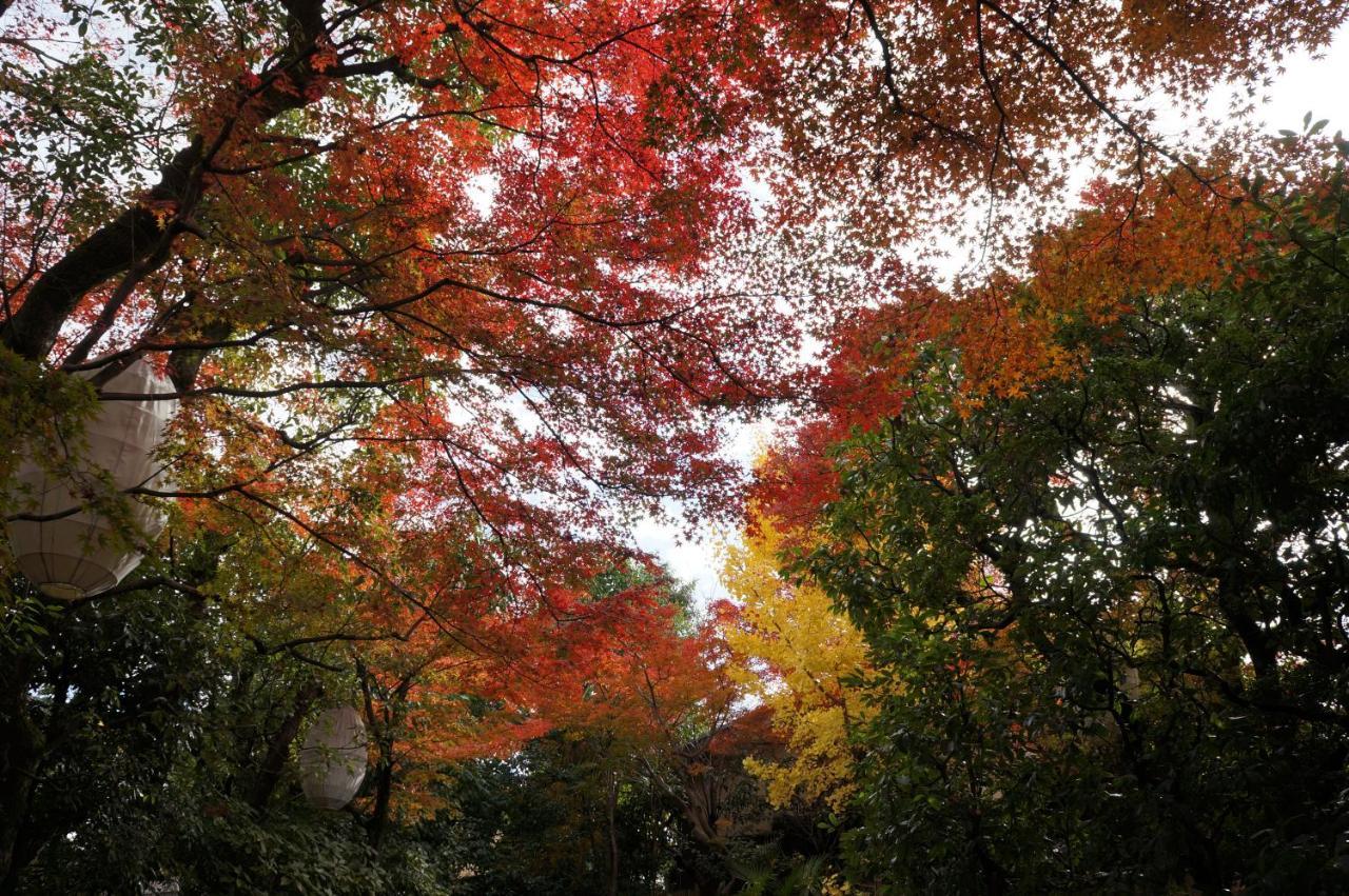 Suminagi Shinpontocho Aparthotel Kyoto Buitenkant foto